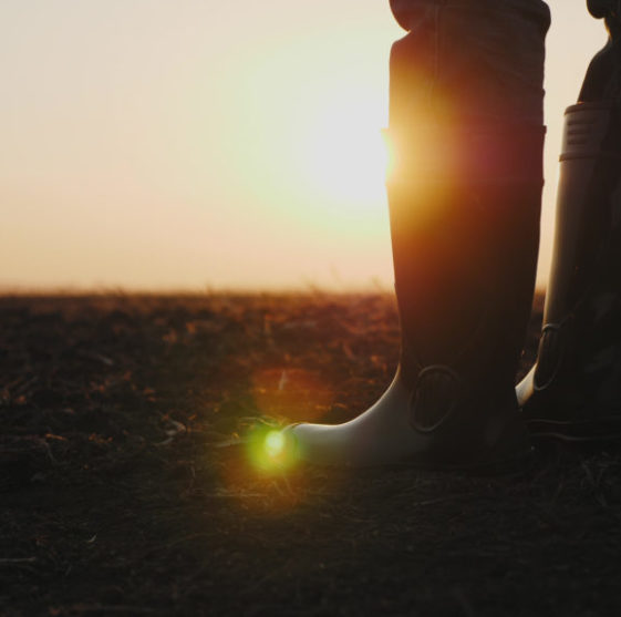 Male farmer in rubber boots walking through cultivated agricultural field Male farmer in rubber boots walking through cultivated agricultural field